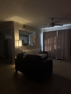 Sleeper Couch