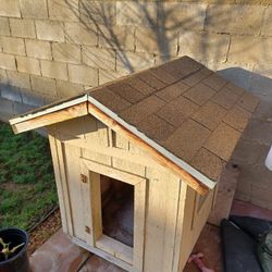 Dog House 