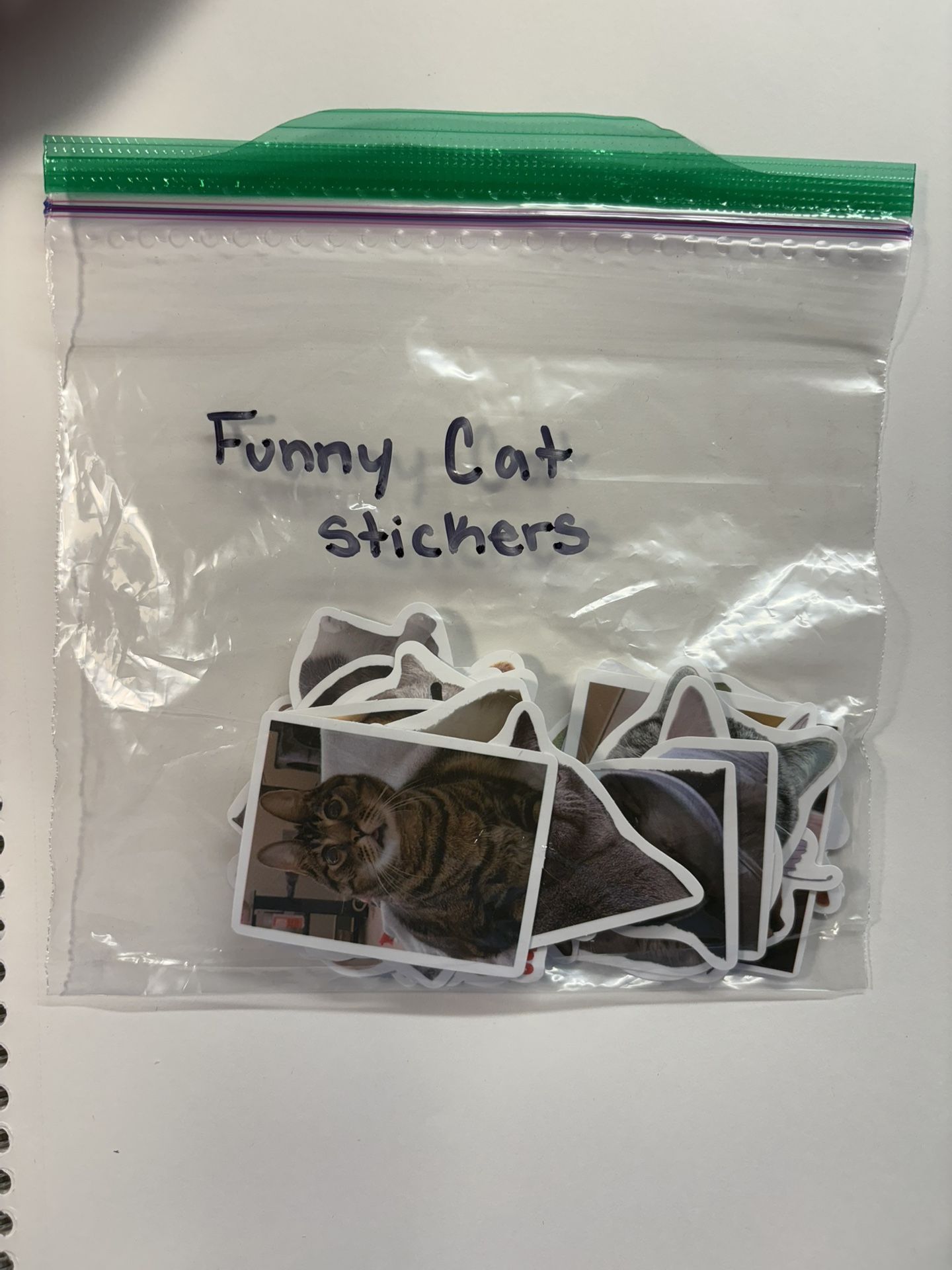 Funny Cat Stickers