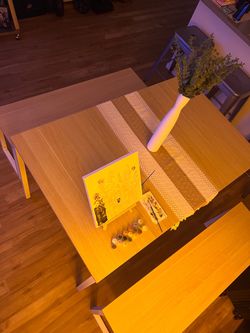 Dining table & benches ($50 for entire set)