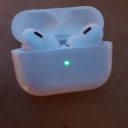 Apple Ear Buds 