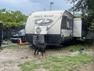 2019 Forest river Forest river