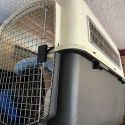 Dog Kennel/cage