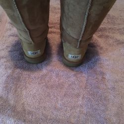 Size 8
