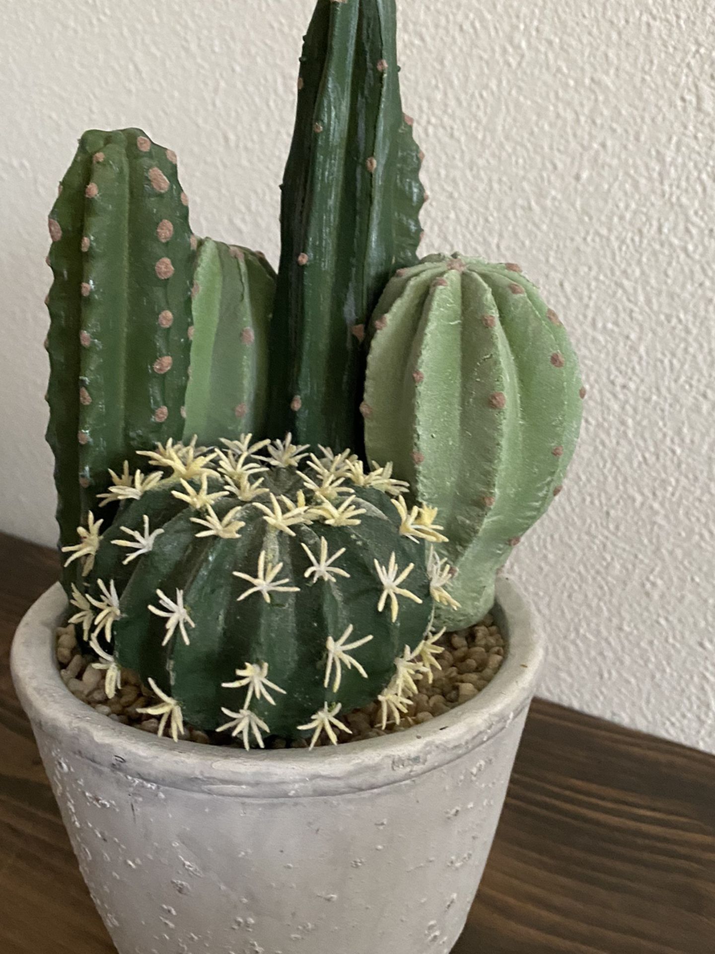 Free Artificial Cactus Plant