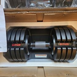Adjustable Weights 
