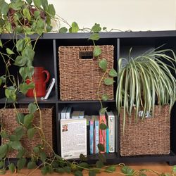 Entertainment Unit/Box shelves