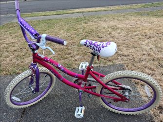 Dynacraft Girls Rule 20" Bicycle