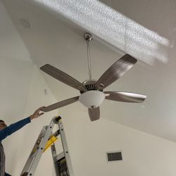 Large Fan