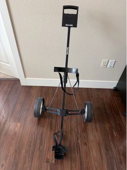 Golf car 2 wheels