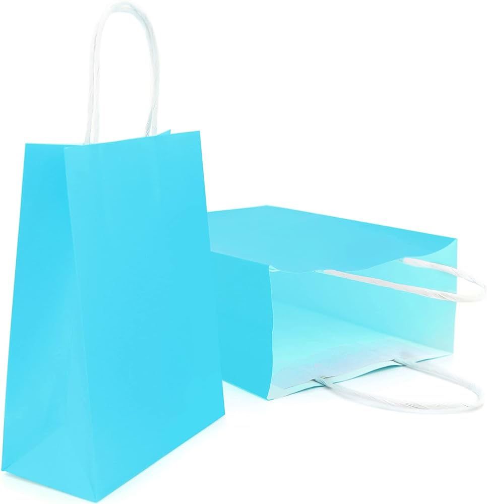 8 CT Medium Light Blue Kraft Bags