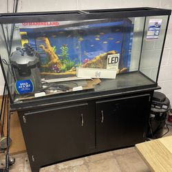 Fish Tank Brand New 