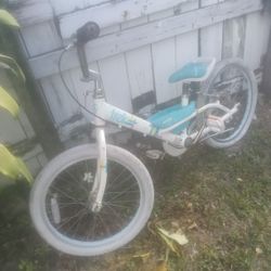 Girls Trek Bike One Tire Needs To Be Replaced 