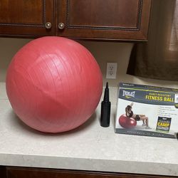 Everlast Fitness Ball 