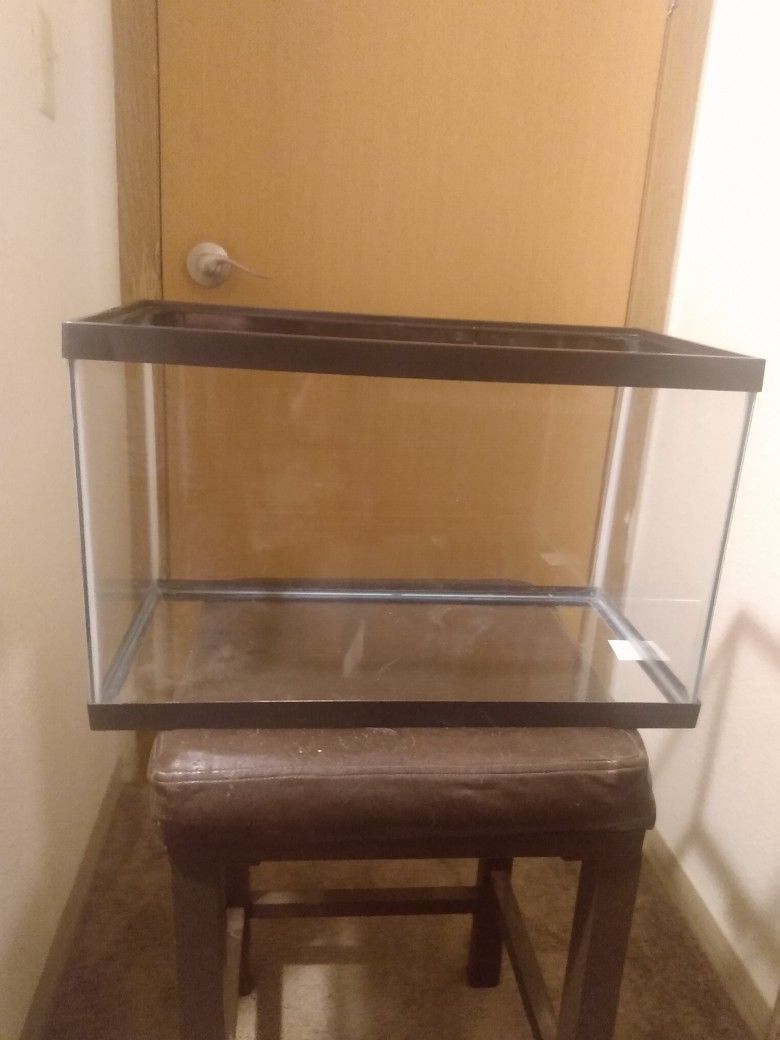 Fish Tank