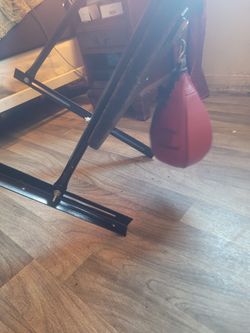 Everlast speed bag