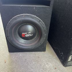 12” professional subwoofer for high spl and open show