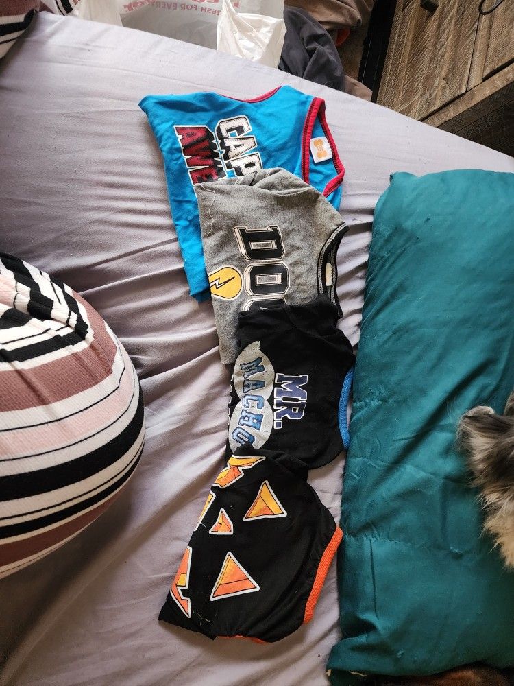 FREE S/M Boy Dog Clothes And Small Dog Crate W/Crate Pad FREE