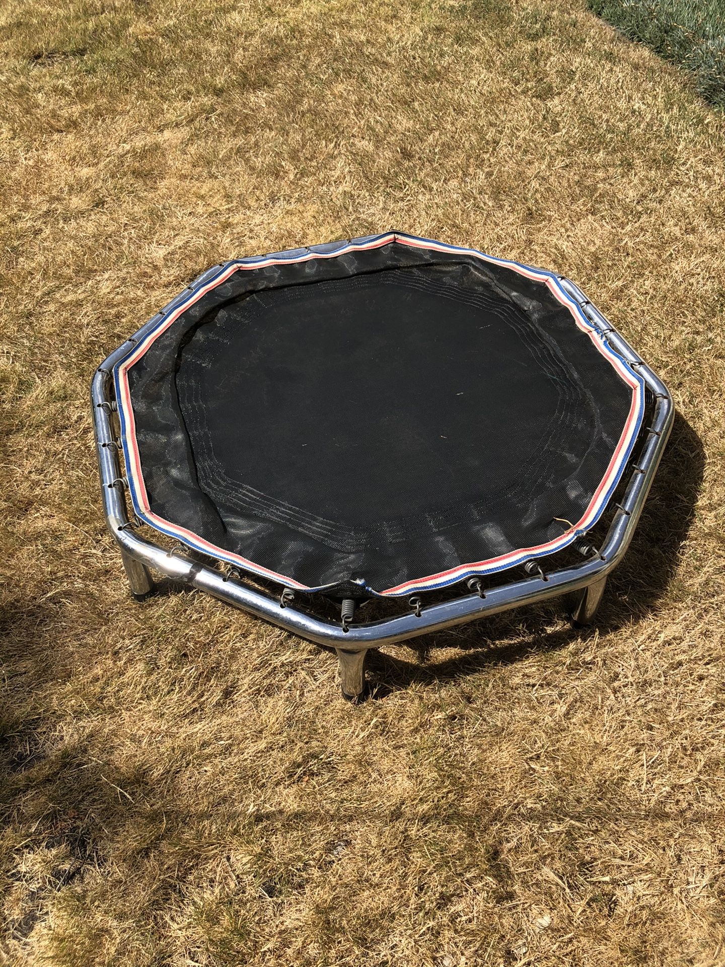 Trampoline 42” in diameter
