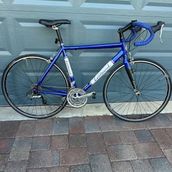 LEMOND Nevada city road bike 55 cm