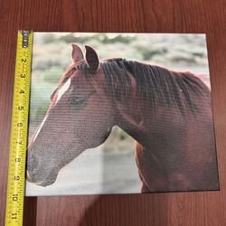 Horse Head Canvas Print