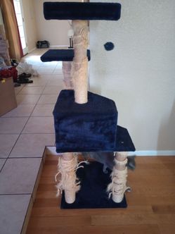 Cat condo