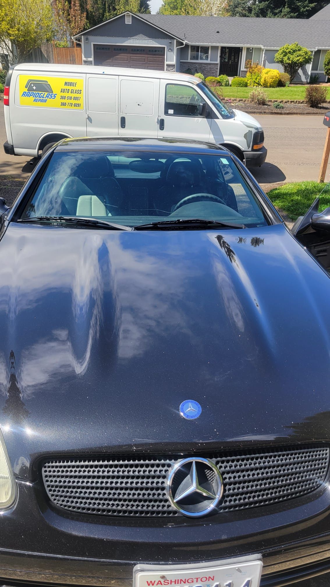 Windshield