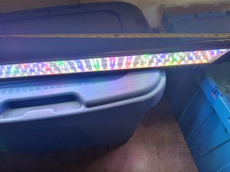 Aquarium / Terrarium light.