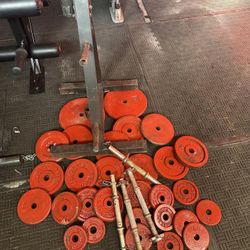 Standard weights 200lbs total plus weights tree and adjustable handles 