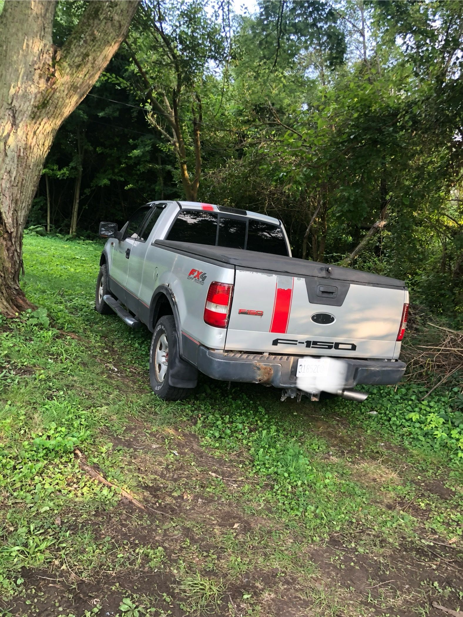 2004 Ford F-150