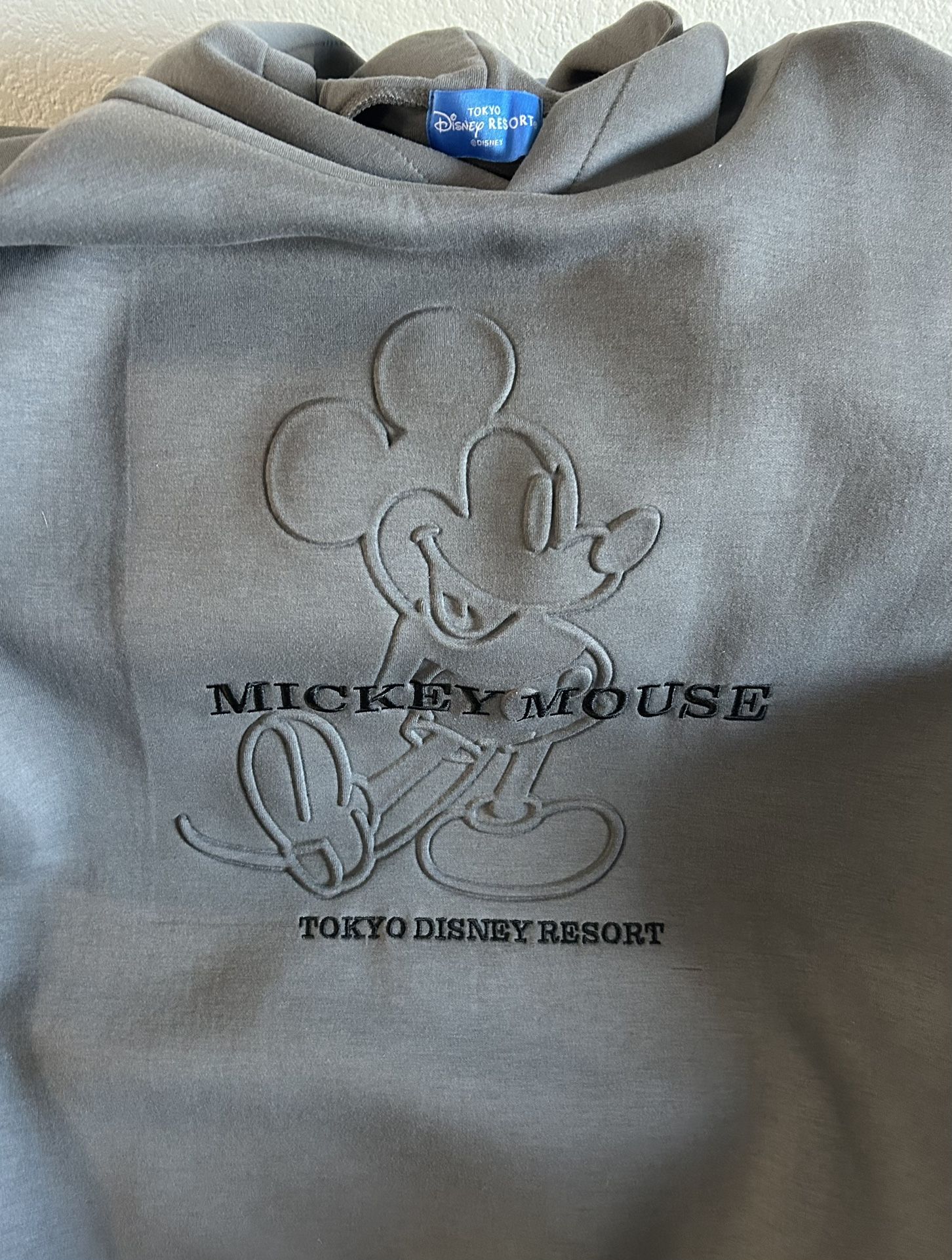 Tokyo Disney Hoodie