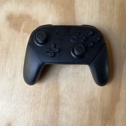 Nintendo Switch Controller 