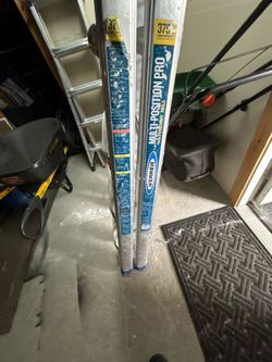 Werner Ladder