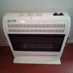 Dynamic Glo GAS HEATER