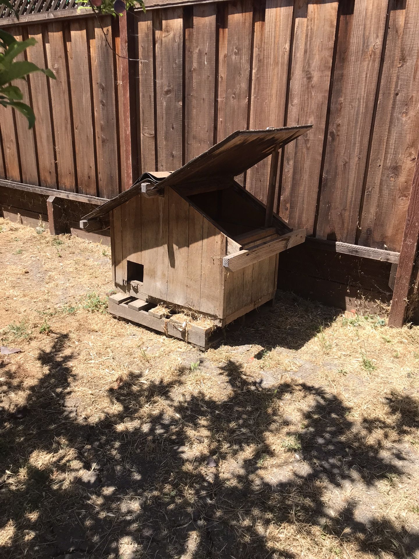 Free Dog / Cat House