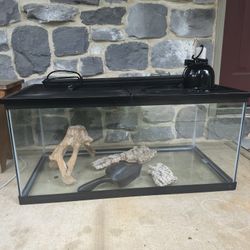 Reptile Tank Setup | 40 Gal Tank
