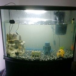 36 Gallon Fish Tank With Stand