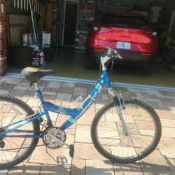 18 Speed Roadmaster Girls Bike Blue 