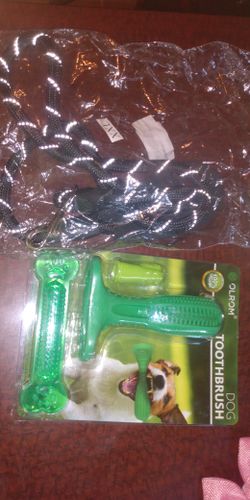 Dog leash and toothbrush