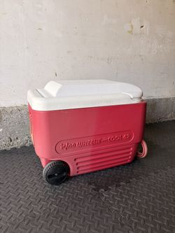 Igloo Cooler