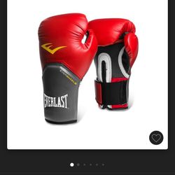 Everlast Boxing Gloves