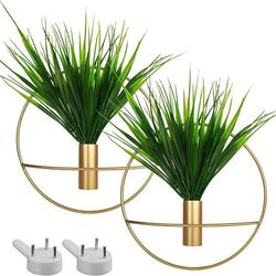2 Park Gold Wall Decor,Plant Wall Decor Decoration Holder Used to Display Dried Flowers,F