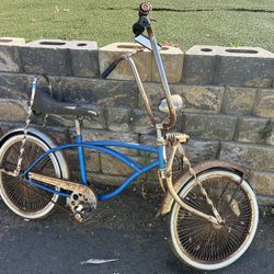 Vintage Lowrider Bike Project