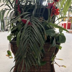 Beautiful Fake Plant