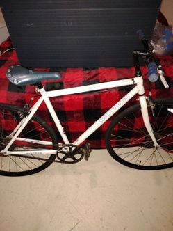 Schwinn Cutter