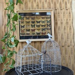 Vintage Framed Butterfly Pictures Collection Art Decoupage Mounted  Insect Bug Nature Decor Gallery Specimen Tray