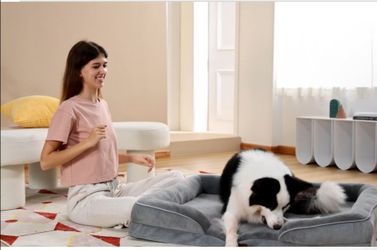 XXL comfortable pet sofa bed, new