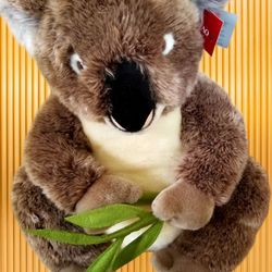 Koala Bear