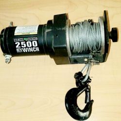 Badland 2500 lb. ATV Utility Winch