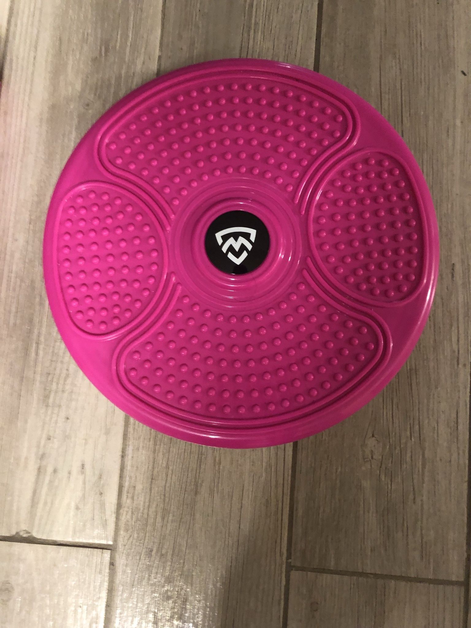 Exercise Disk 14” Wide